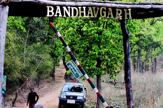 Bandhavgarh National Park